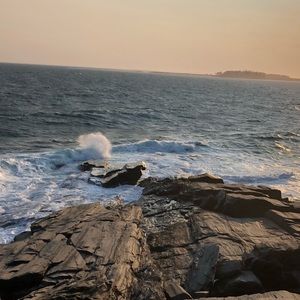 Meet your Posher, Whitney